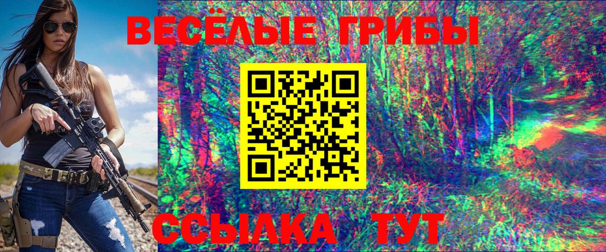 Самара  Псилоцибиновые грибы Psilocybe  Вход с VPN 